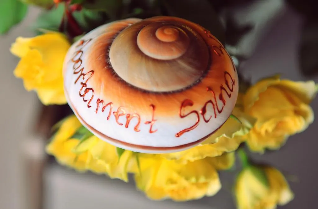 Apartament Solna 305 Kolobrzeg Centrum 0*,  Poland